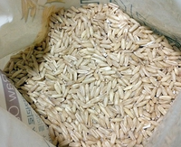 Premium K Whole Oat Grains (800g)