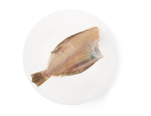 济州高级海鲜 – 比目鱼 300g