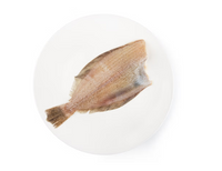 济州高级海鲜 – 比目鱼 300g