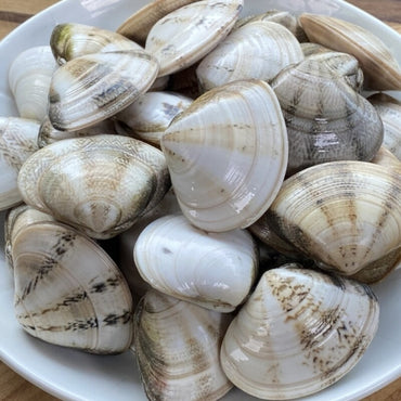 [클래미] 냉동 비단 조개 (1kg)