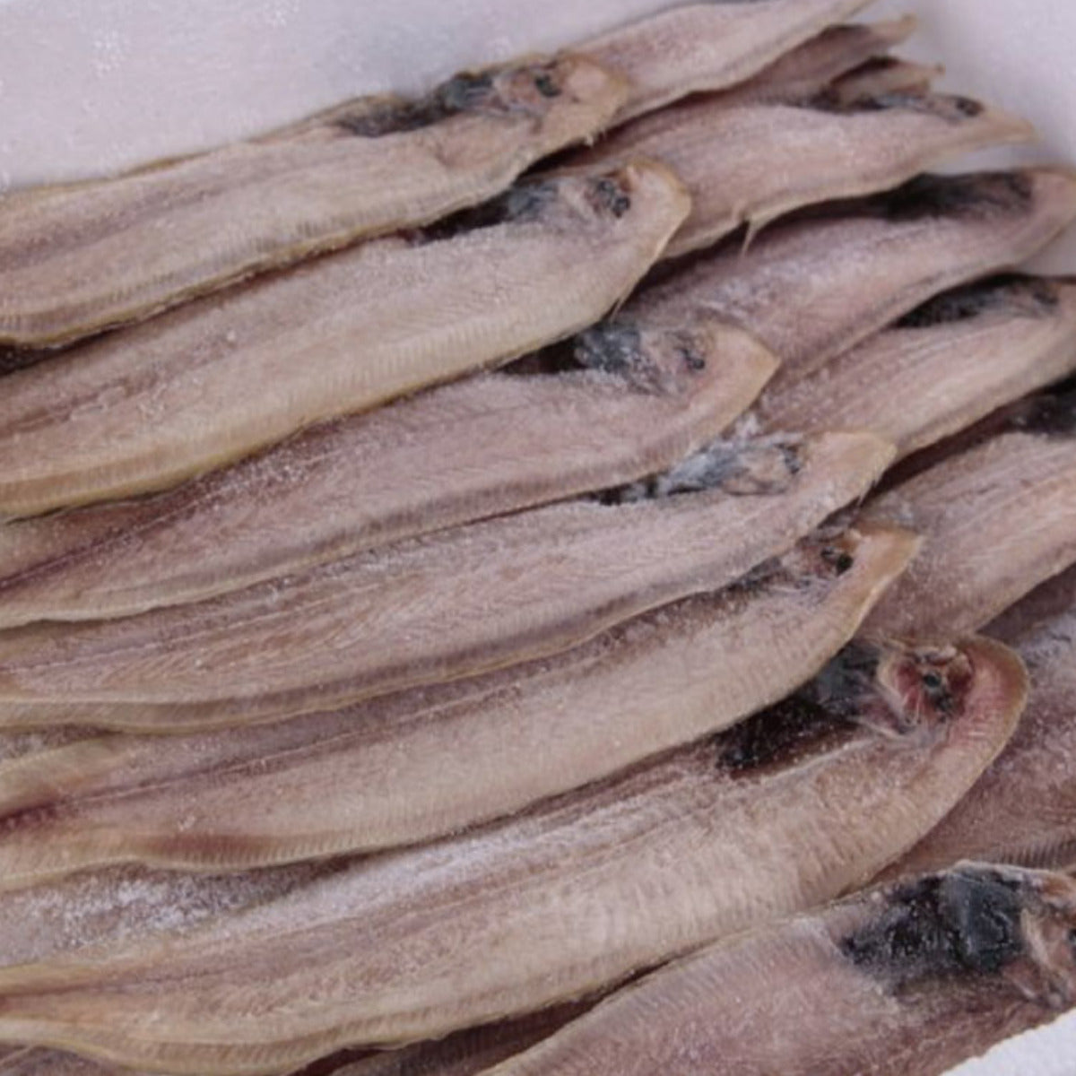 济州红舌鳎鱼 270克